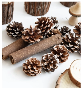 Natural pine cones and cinnamon sticks set for DIY Christmas wreaths and home decor