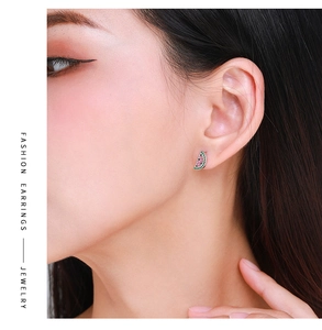 Vue macro de boucles d'oreilles pastèque en argent 925 serties de zircons brillants