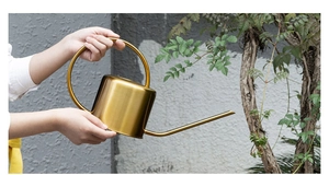 Golden stainless steel watering can with long spout held by hand for scale and grip