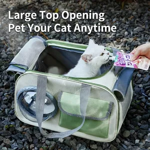 Portable pet carrier with space capsule window and breathable mesh for cats and small dogs