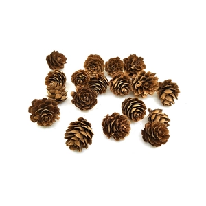 Natural dried mini pine cones in brown wood tones for DIY Christmas decoration on white background