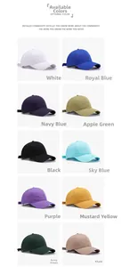 Grid display of baseball caps in ten solid colors including navy, khaki and forest green