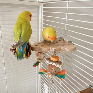 Parrot wooden perch stand with natural fiber chew toys for lovebirds and cockatiels