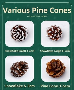 Détails de diverses pommes de pin naturelles de différentes tailles avec effet neige pour DIY