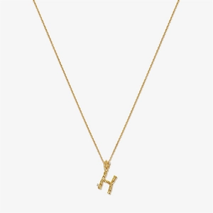 Macro shot of gold S925 sterling silver letter H pendant with vintage texture and diamonds