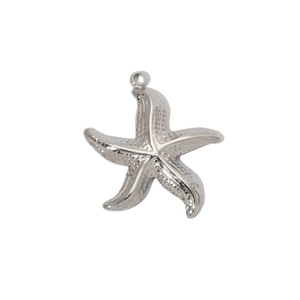 Macro shot of silver starfish pendant with textured surface and polished steel ring
