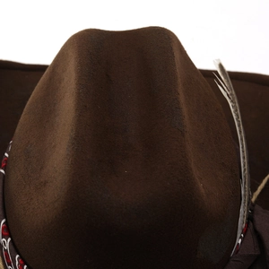 Detail of a brown felt cowboy hat featuring a feather accent and ethnic patterned band