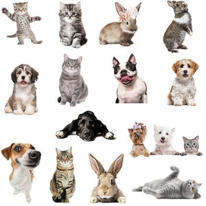 Animal Wall Stickers Lifelike Cat Dog Rabbit PVC Decals For Bathroom Toilet Fridge Glass Furniture Decor Removable