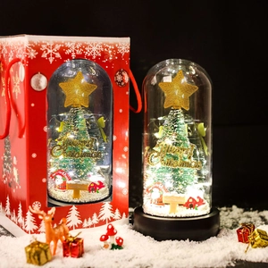 Close-up of lighted glass dome Christmas tree with reindeer and gift box