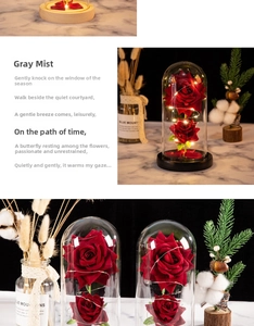 Detail of LED preserved red rose in glass dome with warm fairy lights and wood base