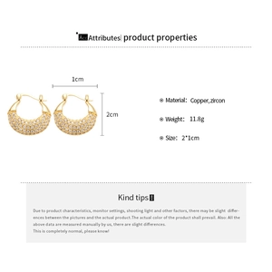 Detailed view of gold cubic zirconia hoop earrings with size and weight dimensions