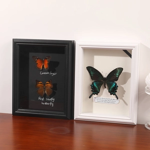 3D butterfly specimen shadow box frame in black and white finish for home wall decor