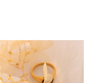 Detail of vintage gold titanium steel ring featuring an oval black centerpiece design
