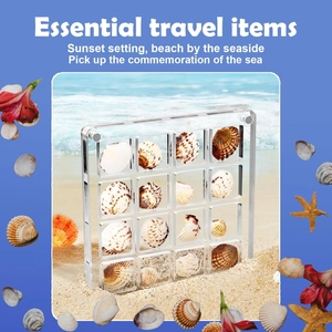 Clear acrylic shell display box with 16 magnetic grid compartments on a beach setting