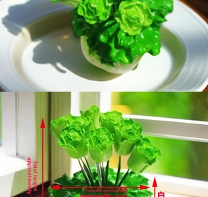 Detail view of green cabbage leaf fruit fork base in a dish and by a window