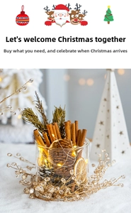 Cozy Christmas set featuring cinnamon sticks, dried orange slices, pine cones and LED lights