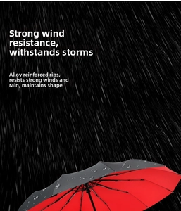 Detail of 12-rib alloy umbrella structure with windproof frame and dual-layer black red fabric