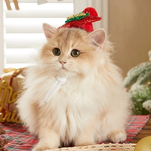 Chapeau de Noël rouge pour animaux avec étoile à paillettes et sangle réglable pour chats