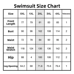 Size chart for plus size printed bikini swimwear from 0XL to 4XL with measurements