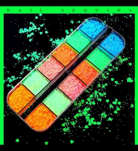 Detailed close-up of 12-grid storage box featuring luminous fluorescent nail art sequins