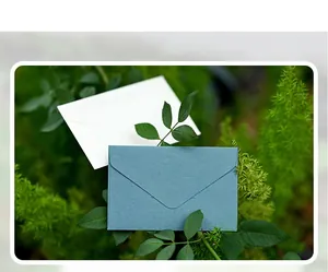 Detailed texture of mini V-flap stationery envelopes placed on natural green leaves
