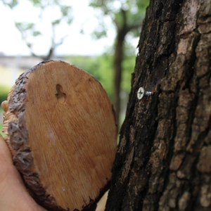Tuineekhoorn van hars met boomshorsstructuur en ophanggat aan de achterkant voor bomen