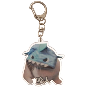 Funny shark cat acrylic keychain with meme-style bite text for bags and keys