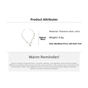 Détail du collier en perles de résine avec chaîne en acier titane et dimensions