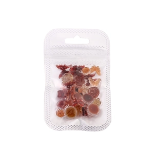Maillard style brown resin nail charms including roses and bows in a clear pouch