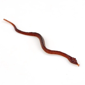 Detailed view of brown plastic toy snake showing realistic scale textures on white background