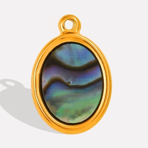 Détail du pendentif ovale en acier inoxydable avec incrustation de nacre d'abalone
