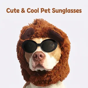 Lunettes De Soleil Pour Animaux De Compagnie Rétro Ovales Chat Cadre PC Lentille AC Pour Chiot Chien Accessoires Photo