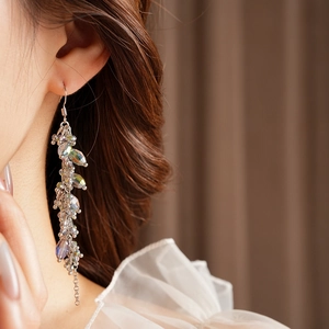 Detail of silver long tassel earrings with iridescent crystal beads worn by a model
