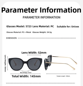 Detailed size specifications for oversize sunglasses with metal temples and PC frame
