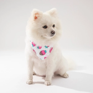 White dog wearing a pink strawberry pattern pet bandana accessory for small dogs