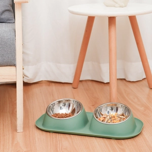 Ergonomic double stainless steel pet bowl with anti-slip tilted base in Morandi green