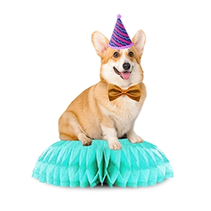 Détail de décoration alvéolée Corgi avec base bleue et chapeau d'anniversaire festif