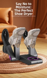 Dual electric shoe dryer with digital display for drying leather and sports shoes