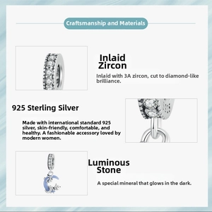 S925 sterling silver luminous cat and moon charm with sparkling zircon accents