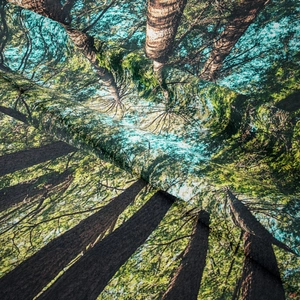 Detail of forest tapestry showing fabric texture and realistic nature print quality