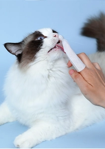 Macro view of disposable pet dental finger wipes with honeycomb texture for teeth cleaning