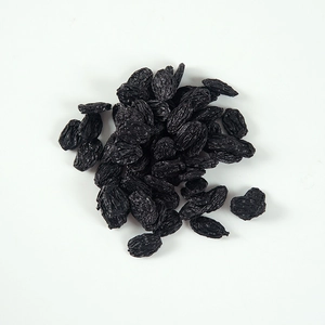 Realistic artificial black raisins food model props with natural dried texture on white back
