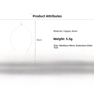 Minimalist resin oval pendant necklace details showing 48cm length plus 7cm extender chain
