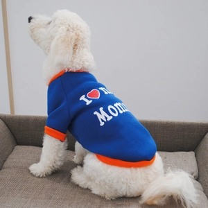 Close-up of a white dog wearing a royal blue fleece hoodie with I Love Mommy print