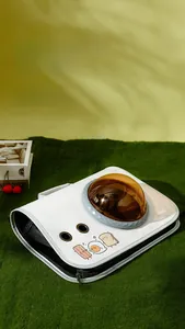 Flat-lay view showing the foldable gray pet carrier with a transparent capsule window on grass