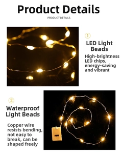 Detail of warm white waterproof LED copper wire lights with flexible string and battery box