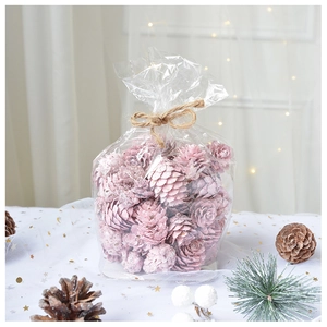 Pink pine cones set in clear plastic bag with twine bow for Christmas decoration