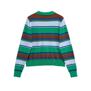 Back view of a colorful striped long-sleeve knit polo shirt with navy and green bands
