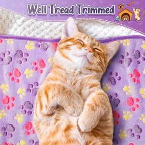 Detail of orange tabby cat sleeping on soft purple paw print flannel pet blanket