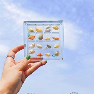 Macro shot of 16-grid clear acrylic shell storage box held against a bright blue sky